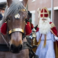 171119-RvH-Intocht-Sinterklaas-08